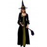 Black Beautiful Halloween Witch Apparel