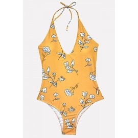 Floral Print Halter Padded Cheeky Beautiful One Piece Swimsuit