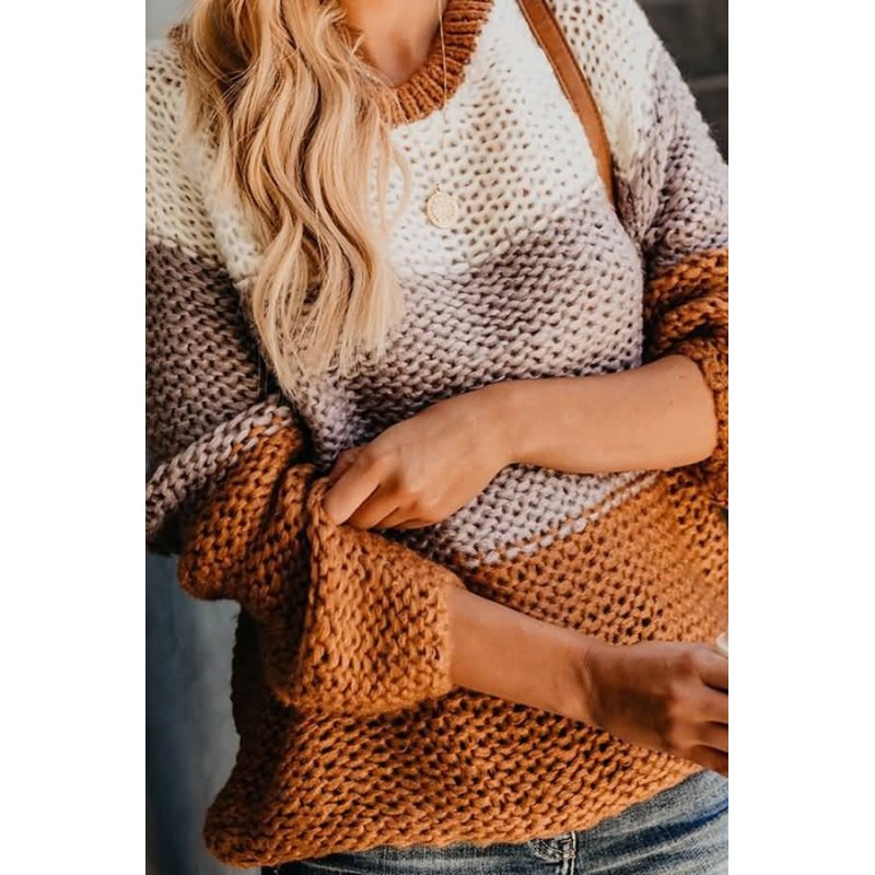 Brown Color Block Round Neck Long Sleeve Casual Pullover