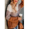 Brown Color Block Round Neck Long Sleeve Casual Pullover