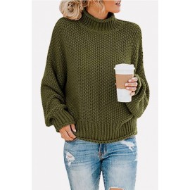 Turtle Neck Long Sleeve Casual Pullover