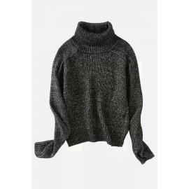 Black Turtle Neck Long Sleeve Casual Pullover